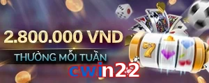 cwin22