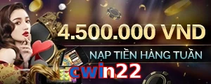 cwin22