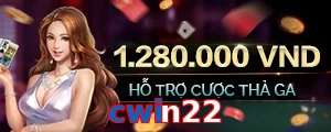 cwin22
