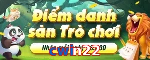 cwin22