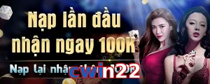 cwin22