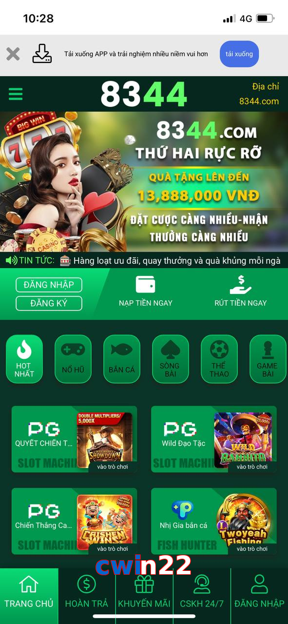 cwin22