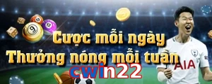 cwin22